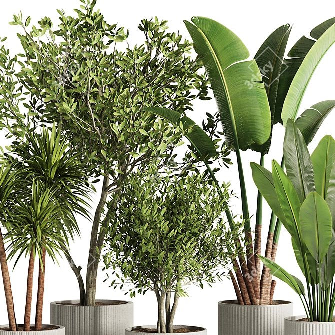 Modern Indoor Plant Set 2016 3D model image 3