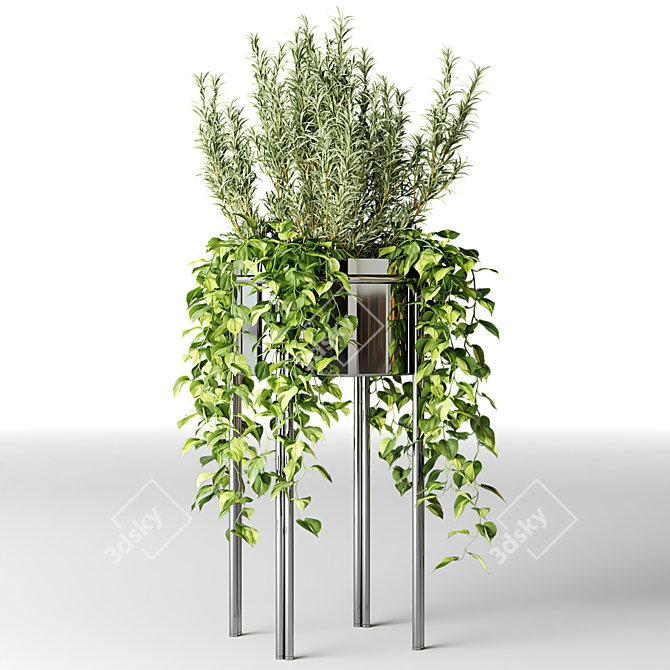  Chromed Planters - Corona 3D model image 5