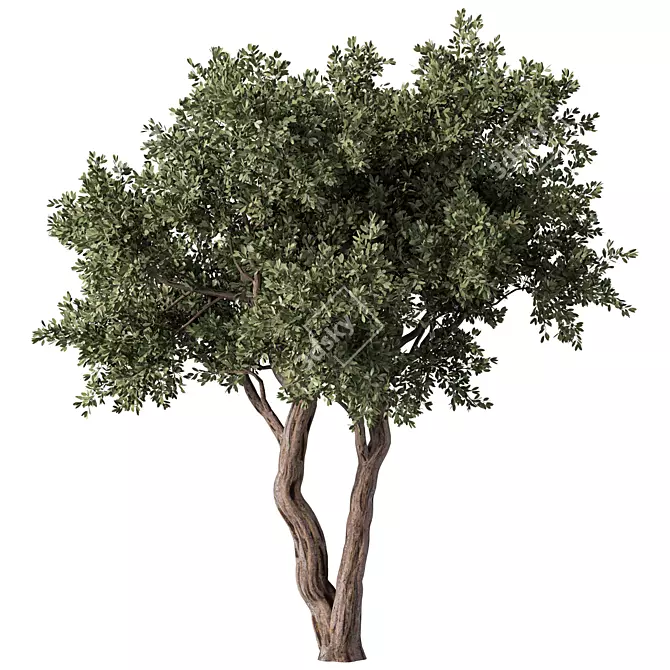  Modern 3D Tree Model 3D model image 1