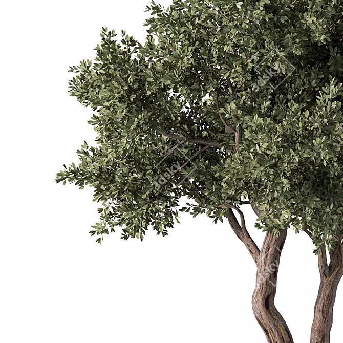  Modern 3D Tree Model 3D model image 2