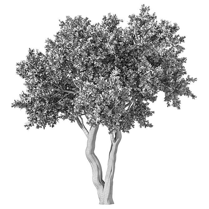  Modern 3D Tree Model 3D model image 4