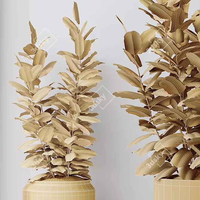 Rubber Ficus Melany 3D Models 3D model image 5
