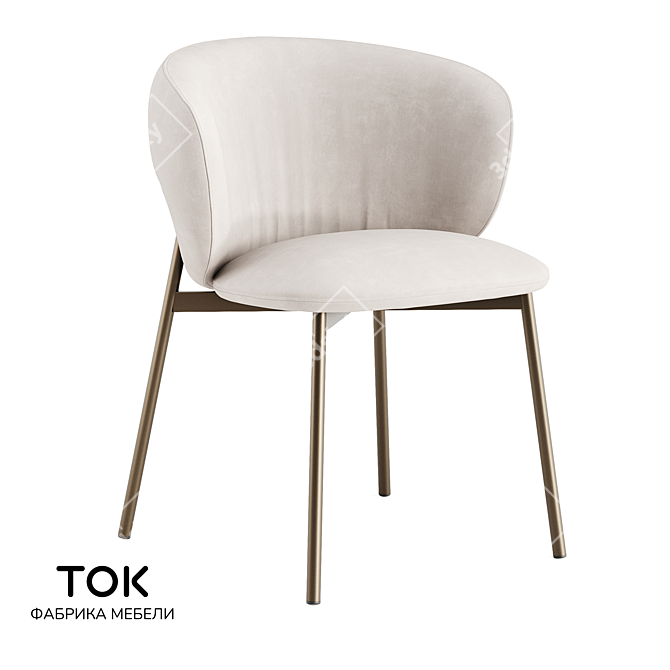 Baikal MT 2.0 Metal Frame Chair 3D model image 1