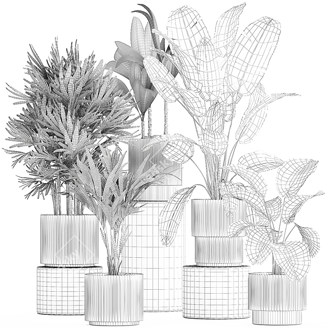 Exotic Tropical Plant Collection 3D model image 6