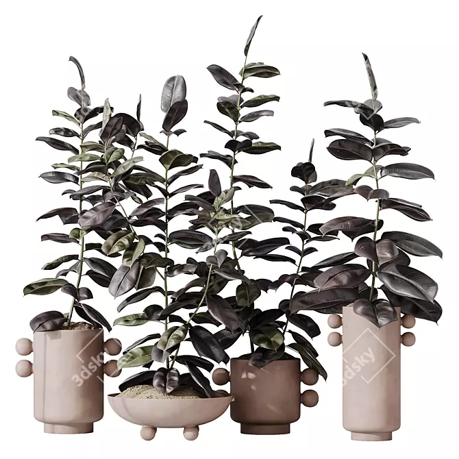 Burgundy Rubber Ficus Indoor Plants 3D model image 1