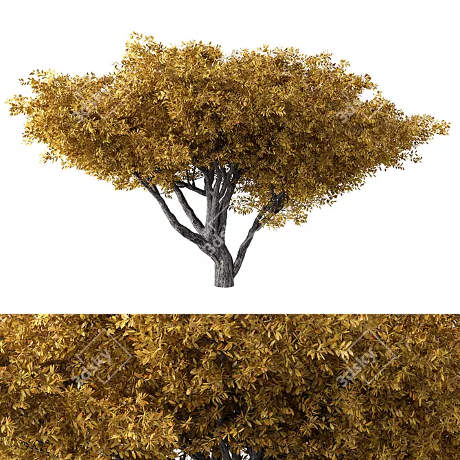 Unique Tree Prop No.60 3D model image 1