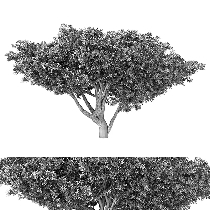 Unique Tree Prop No.60 3D model image 4