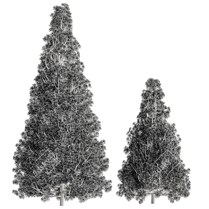 Russian Plum Pines Tree Set 3D model image 4