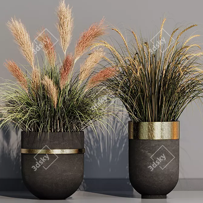 Pampas Grass Indoor Ornamental Plant 3D model image 2