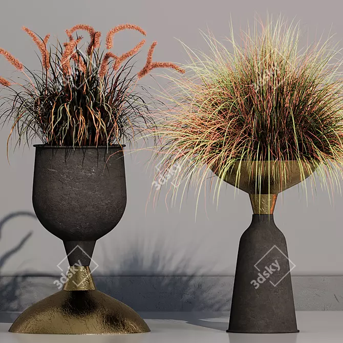 Pampas Grass Indoor Ornamental Plant 3D model image 3