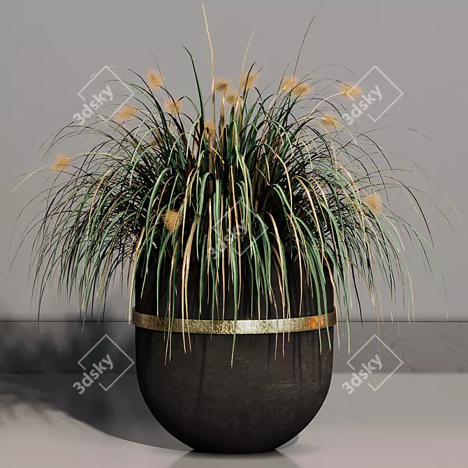 Pampas Grass Indoor Ornamental Plant 3D model image 4