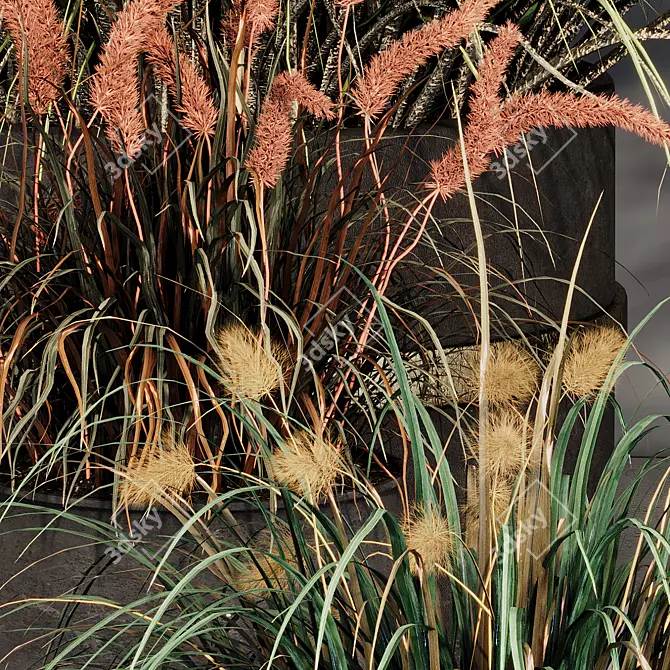 Pampas Grass Indoor Ornamental Plant 3D model image 5