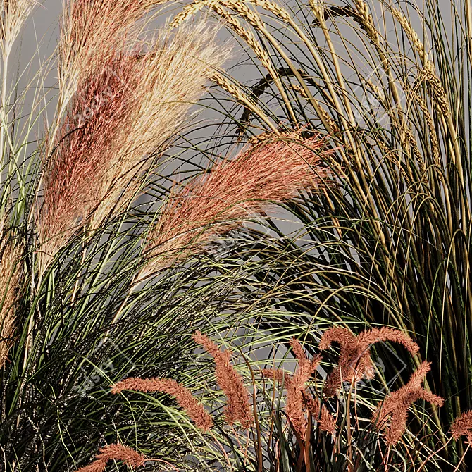 Pampas Grass Indoor Ornamental Plant 3D model image 6