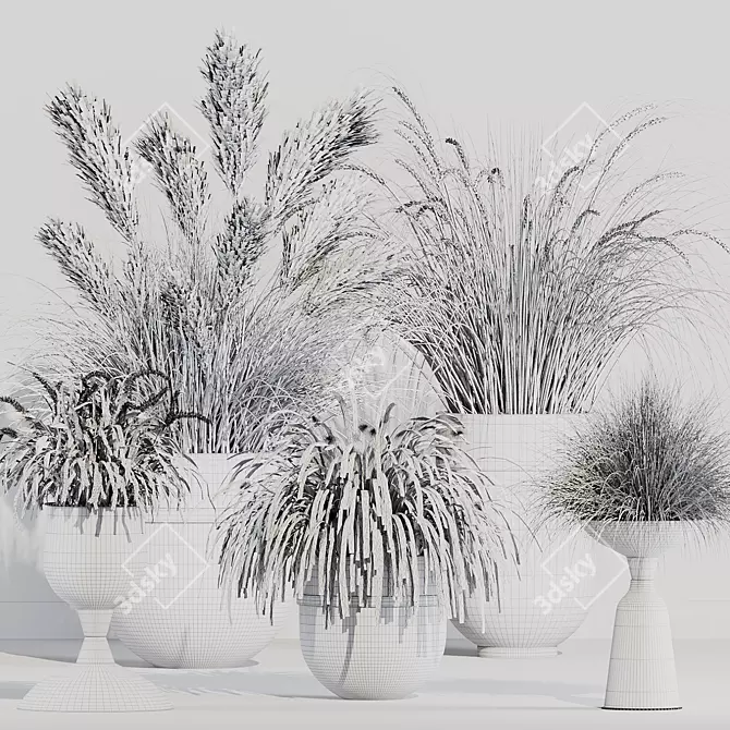 Pampas Grass Indoor Ornamental Plant 3D model image 7