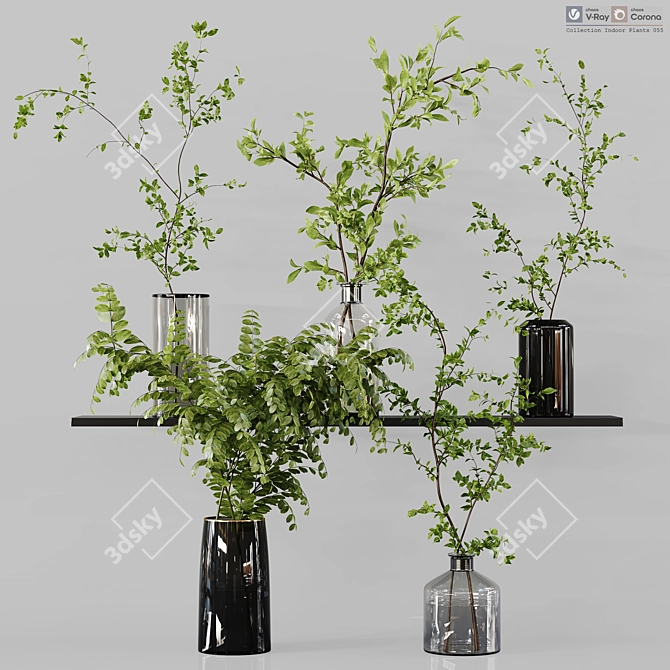 Diverse Indoor Plant Collection 3D model image 1