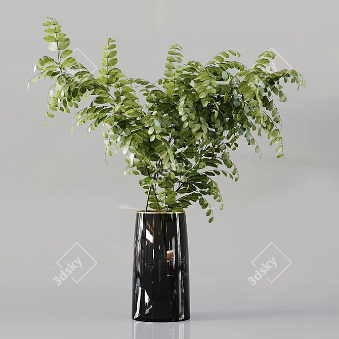 Diverse Indoor Plant Collection 3D model image 2