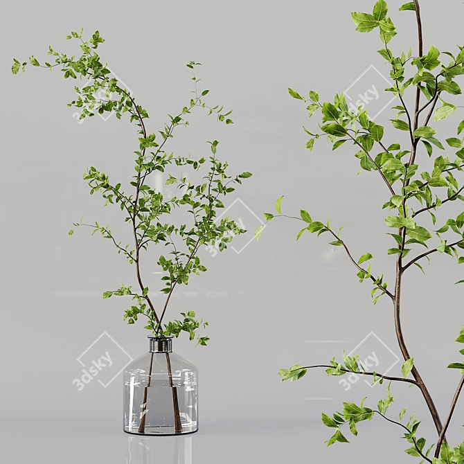 Diverse Indoor Plant Collection 3D model image 3