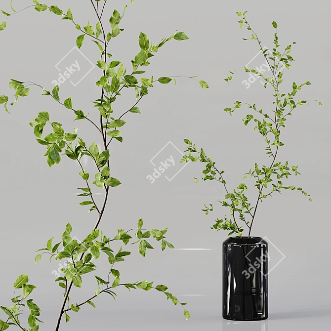 Diverse Indoor Plant Collection 3D model image 4