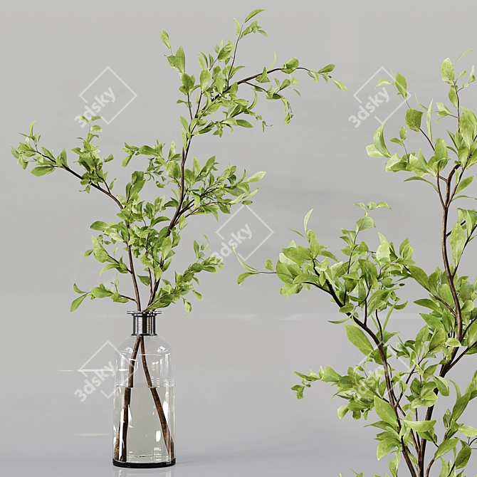 Diverse Indoor Plant Collection 3D model image 5