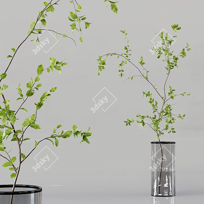 Diverse Indoor Plant Collection 3D model image 6