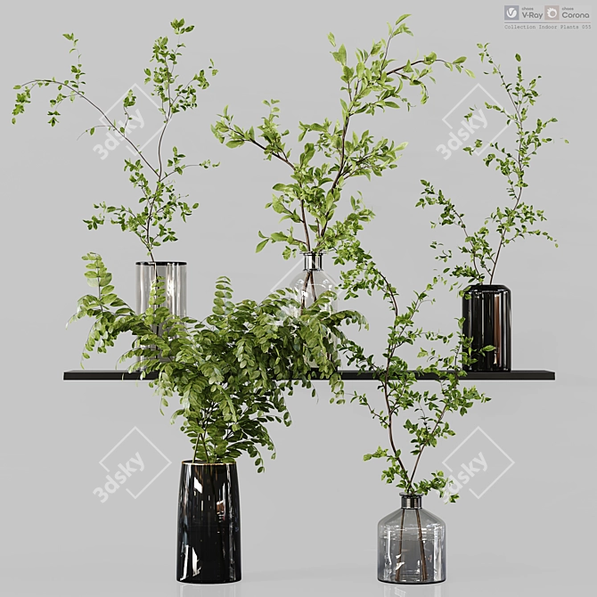 Diverse Indoor Plant Collection 3D model image 8