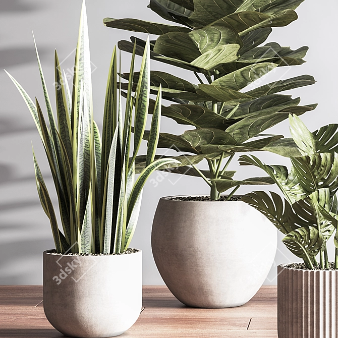 Sleek Indoor Plant Set 3D model image 4