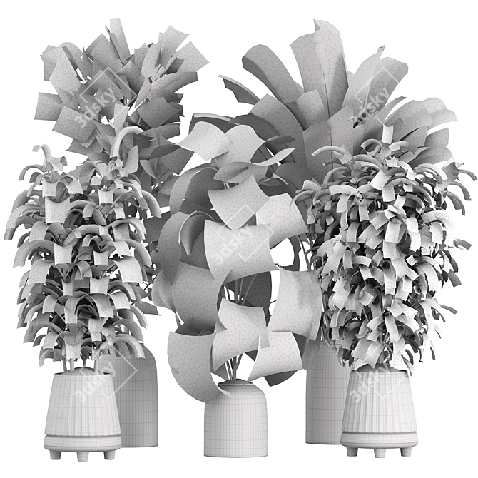 Botanica Indoor Plants Set 024 3D model image 7