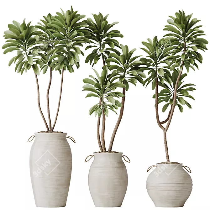 Exotic 3D Houseplants Set03 3D model image 1