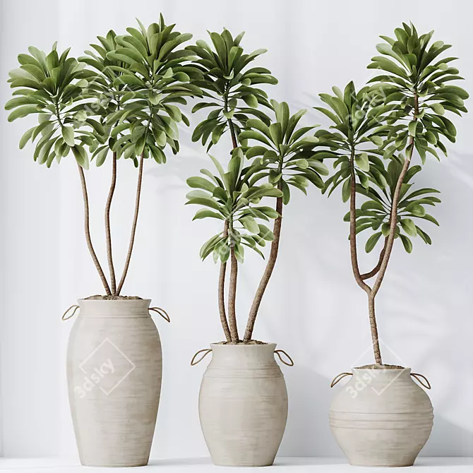 Exotic 3D Houseplants Set03 3D model image 2