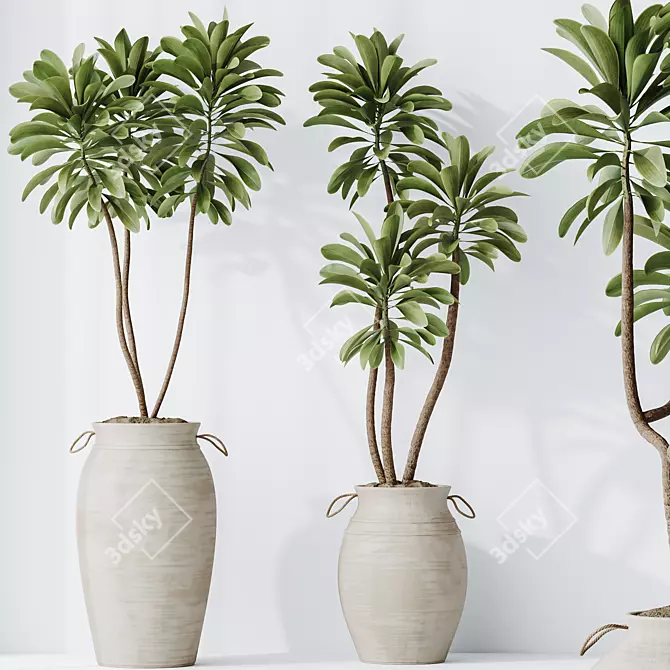 Exotic 3D Houseplants Set03 3D model image 3