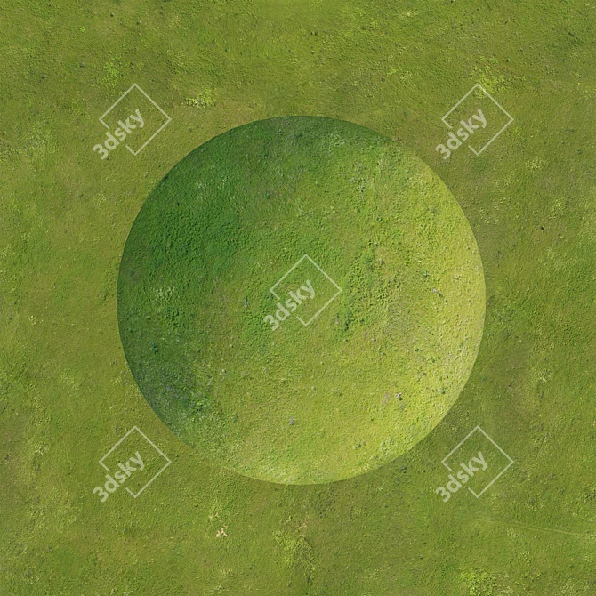 Drone-Captured Field Textures 3D model image 2