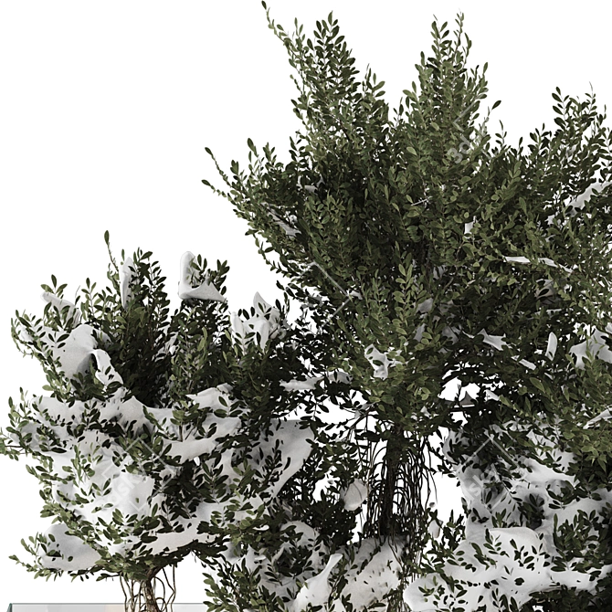 3D Landscape Plant Chandelier Library 3D model image 6