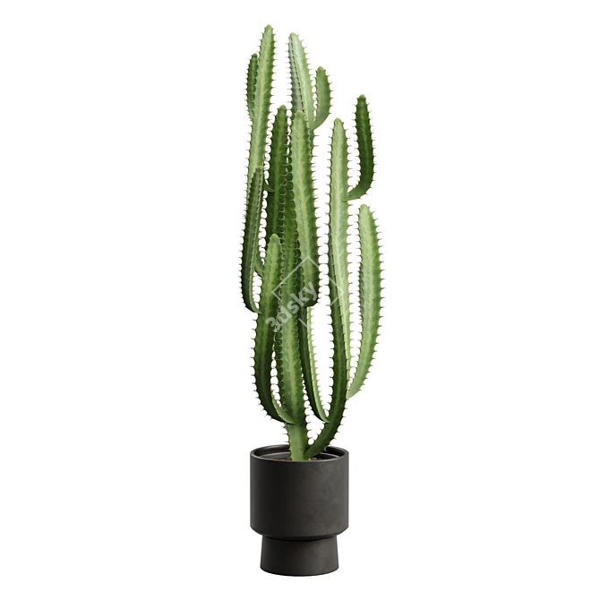 African Milk Tree Cactus Sculpture 3D model image 6