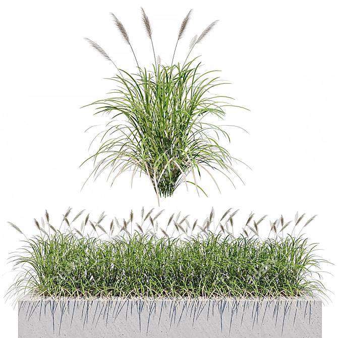 Lush Grass 3D Models Pack 3D model image 1