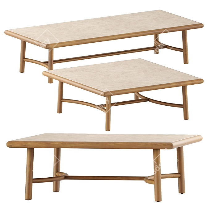 Elegant Ukiyo Low Table by Tribu 3D model image 1