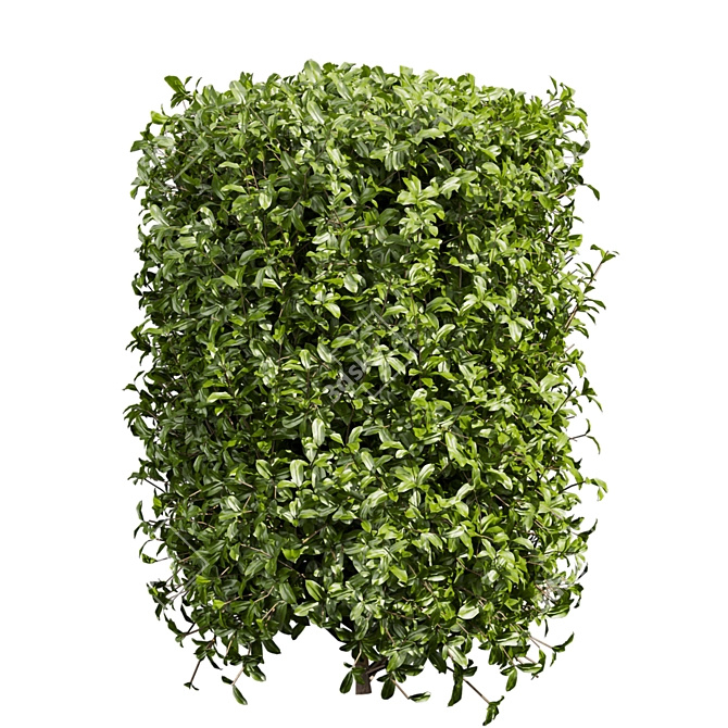 Lush Cylinder Plant Collection 552 3D model image 4