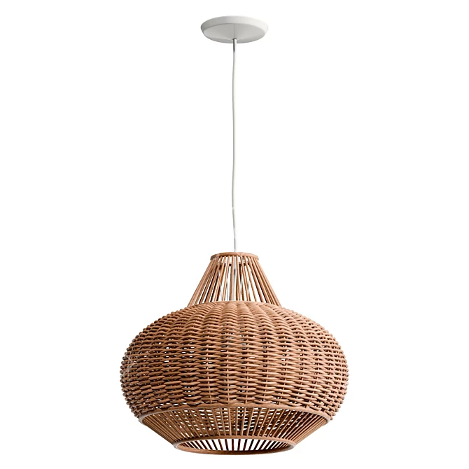 Handwoven Wicker Pendant Lighting 3D model image 2