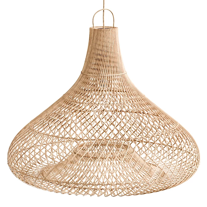 Natural XL Pendant Light Fixture 3D model image 1