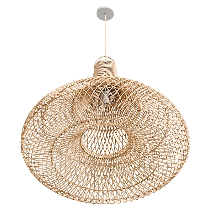 Natural XL Pendant Light Fixture 3D model image 4