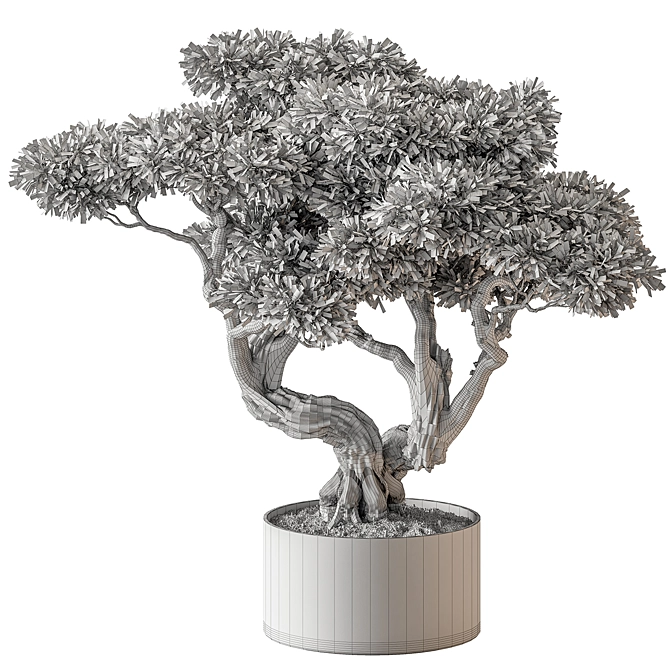 Bonsai Plant 646 - Indoor 3D model image 4