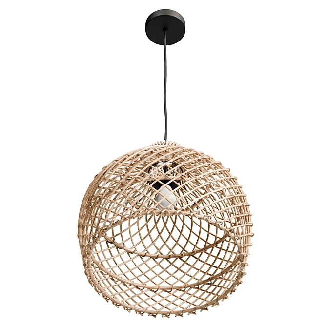 Natural Maze Pendant Light | UV Unwrapped 3D model image 4