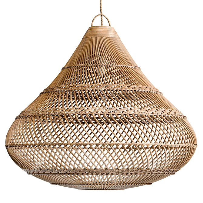 Natural Pendant Light XL, 8192x8192 Texture 3D model image 1