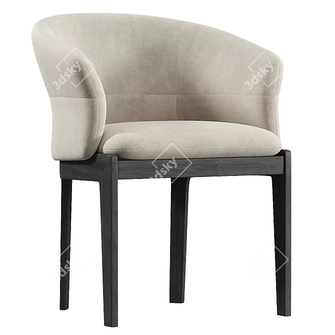 DEVON Easy Chair - Modern Elegance 3D model image 3