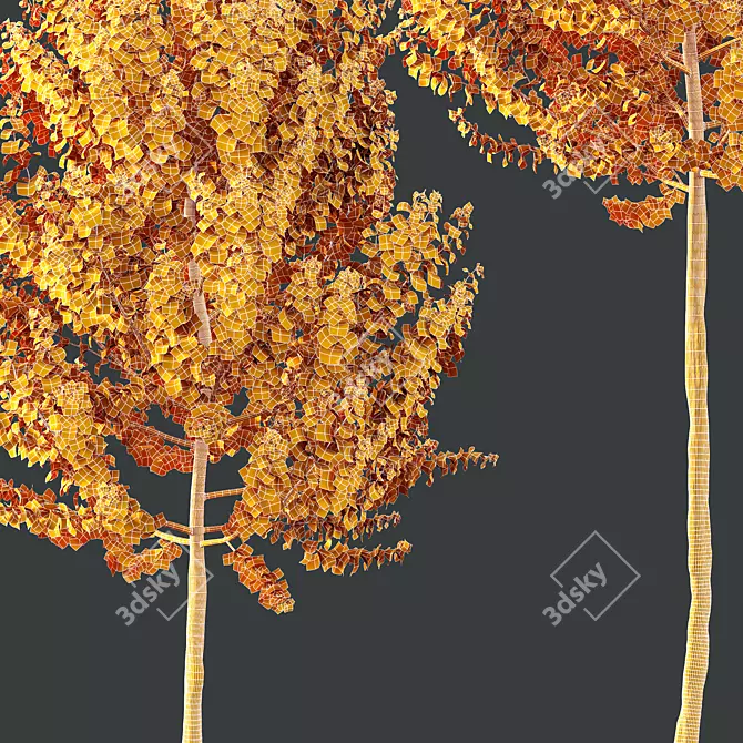 Hybrid Maple Trees 3D Models 3D model image 5