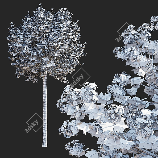 Meyer's Lilac Trees Set 3D model image 2