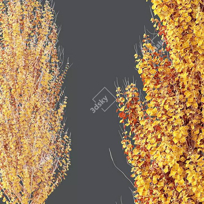  Hybrid Freeman Maple 3D Models 3D model image 5