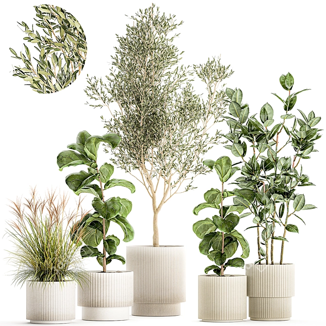 Tropical Plant Collection Set 3D model image 1