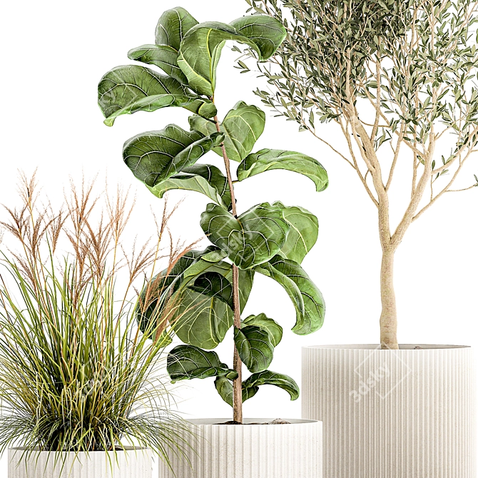 Tropical Plant Collection Set 3D model image 2