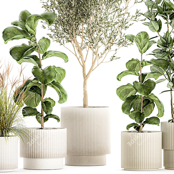 Tropical Plant Collection Set 3D model image 4