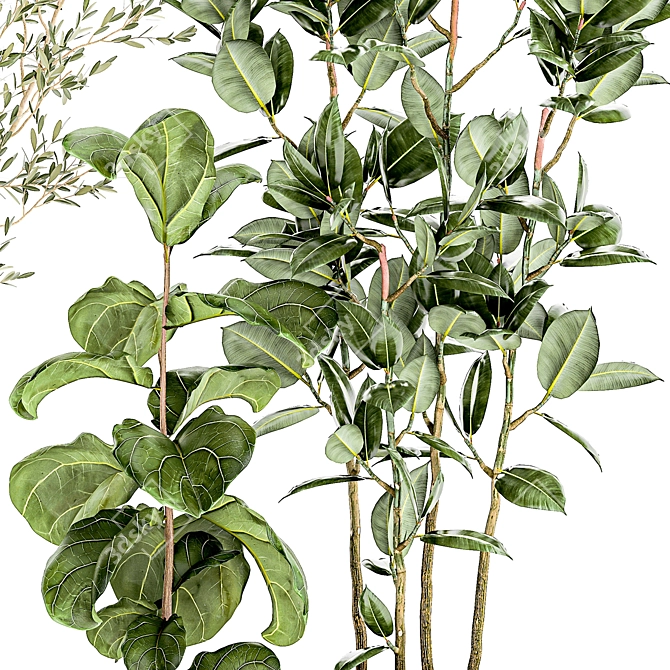 Tropical Plant Collection Set 3D model image 6